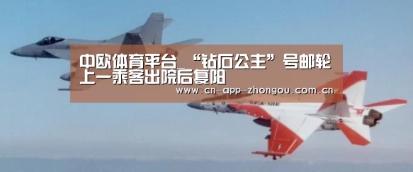 中欧体育平台_“钻石公主”号邮轮上一乘客出院后复阳(图4) zoty体育