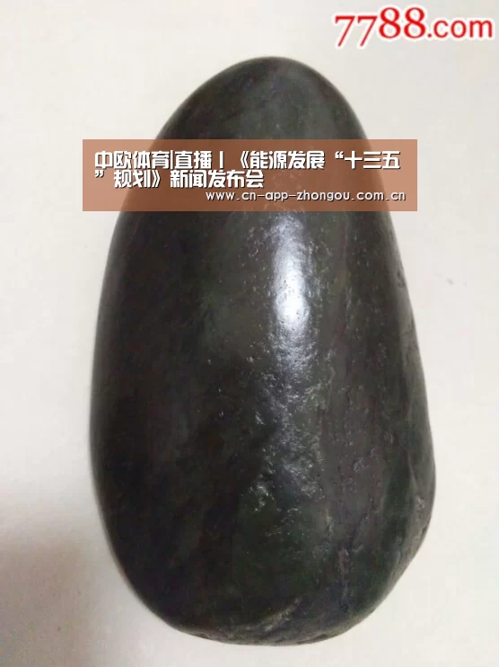 zoty体育