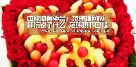 中欧体育平台:范玮琪回应摔伤说了什么 范玮琪下巴缝15针原因(图4) 中欧体育平台