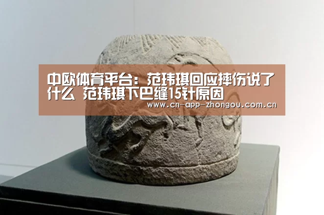 中欧体育平台:范玮琪回应摔伤说了什么 范玮琪下巴缝15针原因(图3) 中欧体育平台
