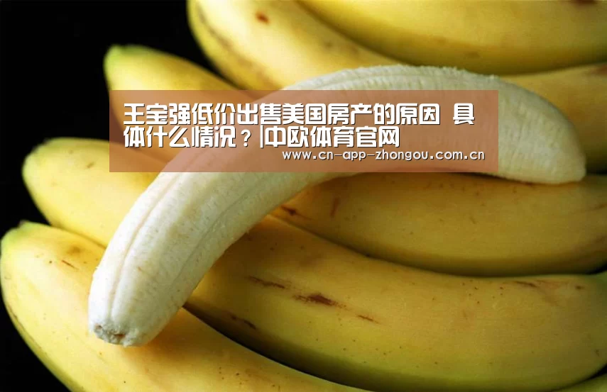 中欧体育官网