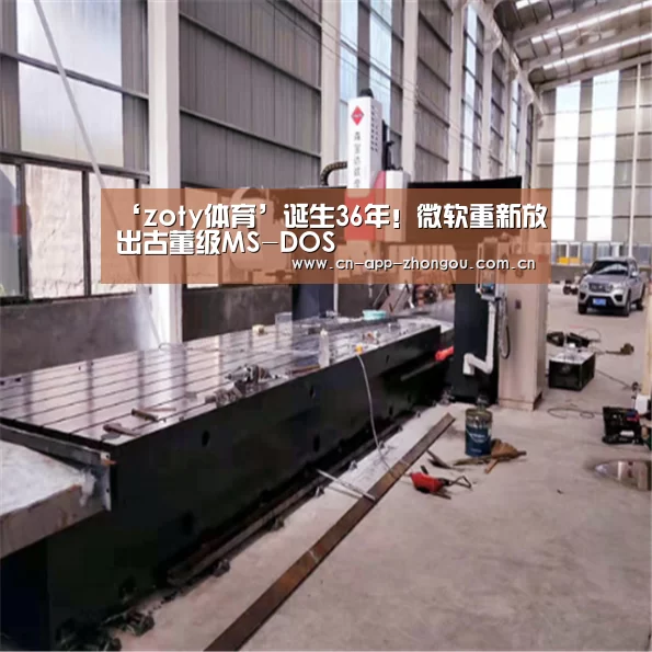 中欧体育