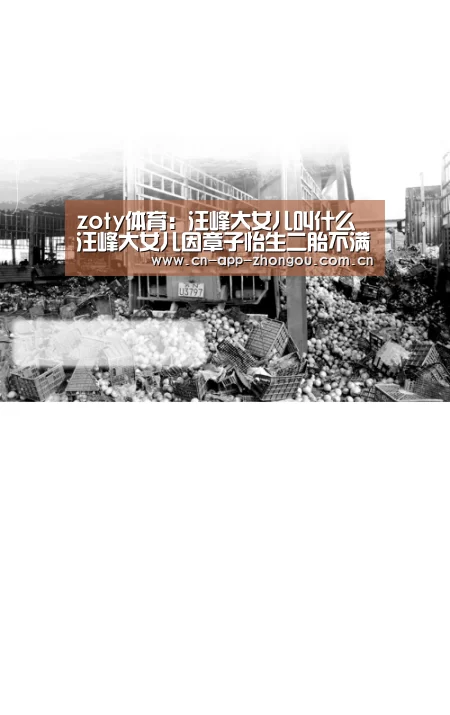 中欧体育