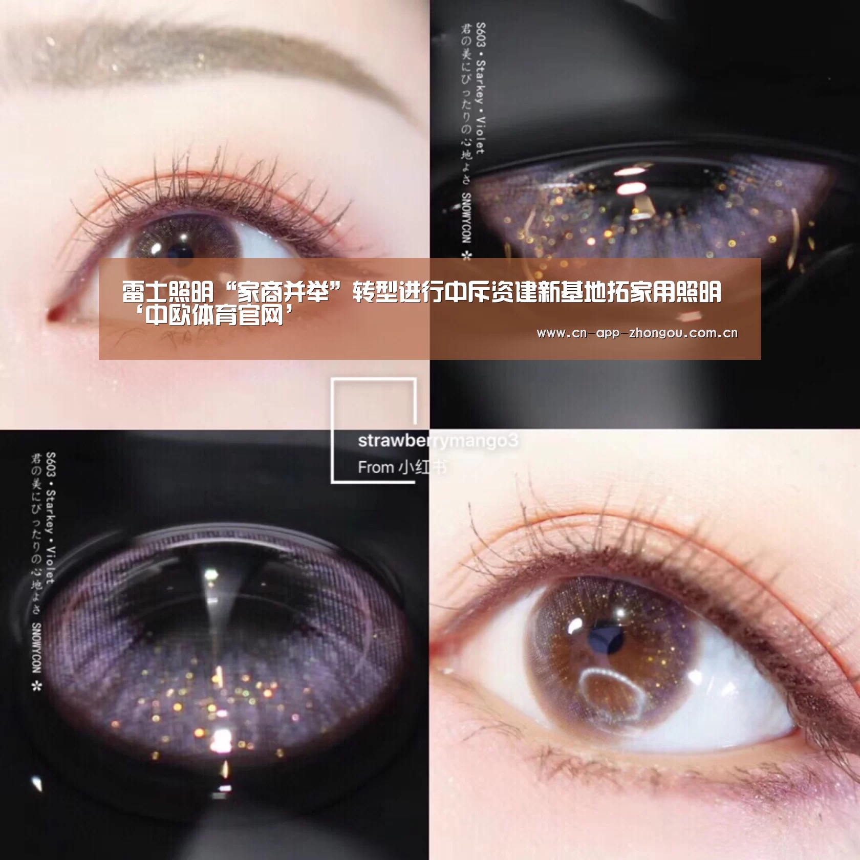 中欧体育