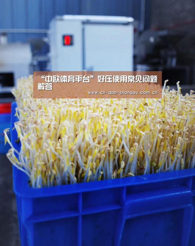 中欧体育官网