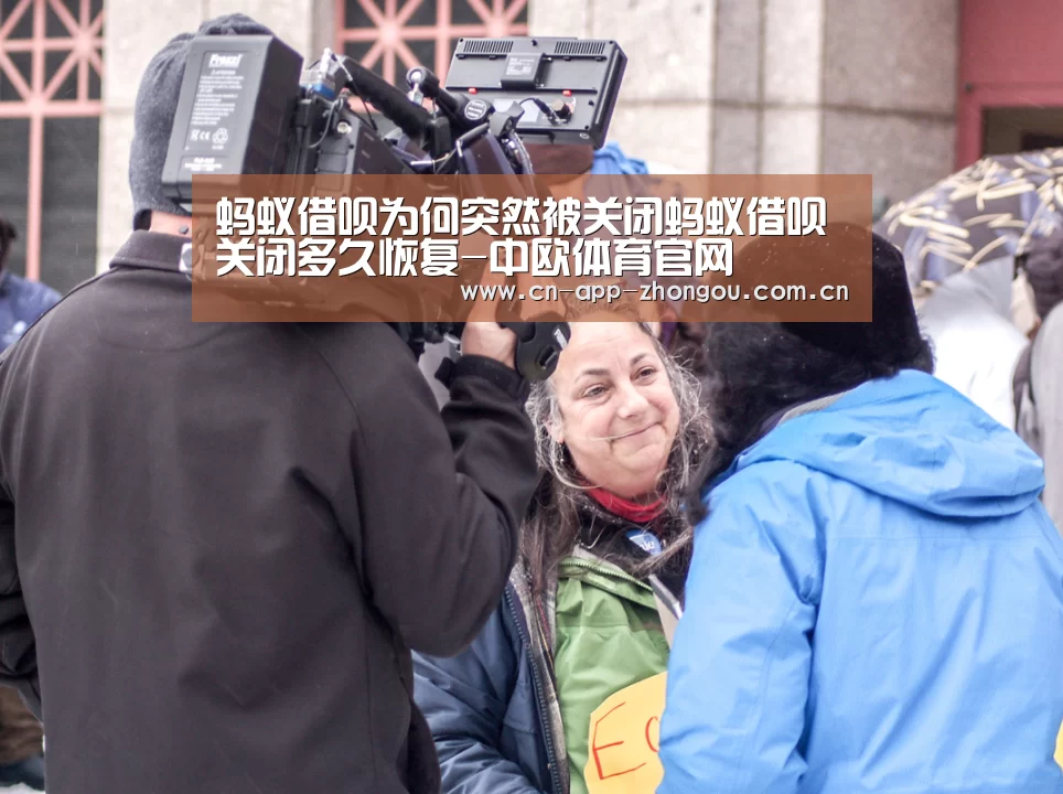 蚂蚁借呗为何突然被关闭蚂蚁借呗关闭多久恢复-中欧体育官网(图2) zoty体育
