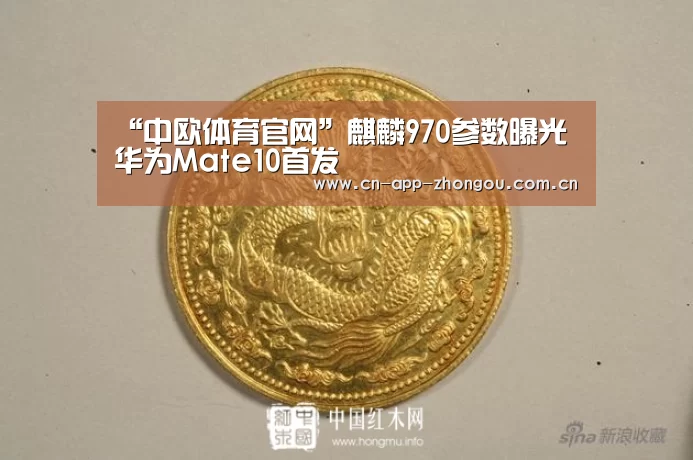 中欧体育