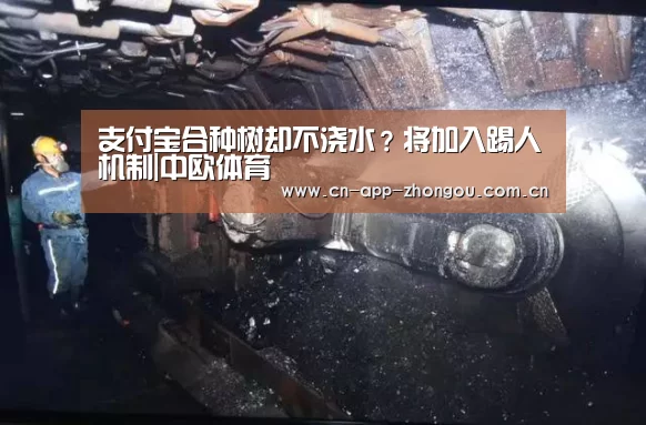 支付宝合种树却不浇水?将加入踢人机制|中欧体育(图1) 中欧体育官网