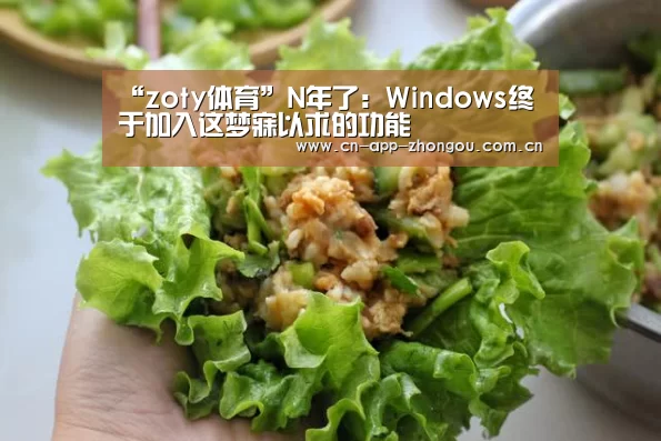 “zoty体育”N年了:Windows终于加入这梦寐以求的功能(图2) 中欧体育平台