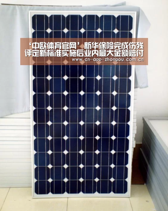 中欧体育官网