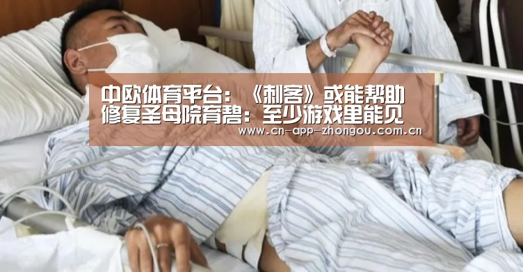 中欧体育平台