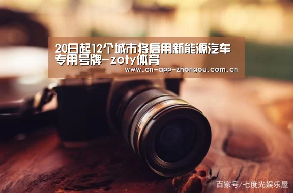 中欧体育