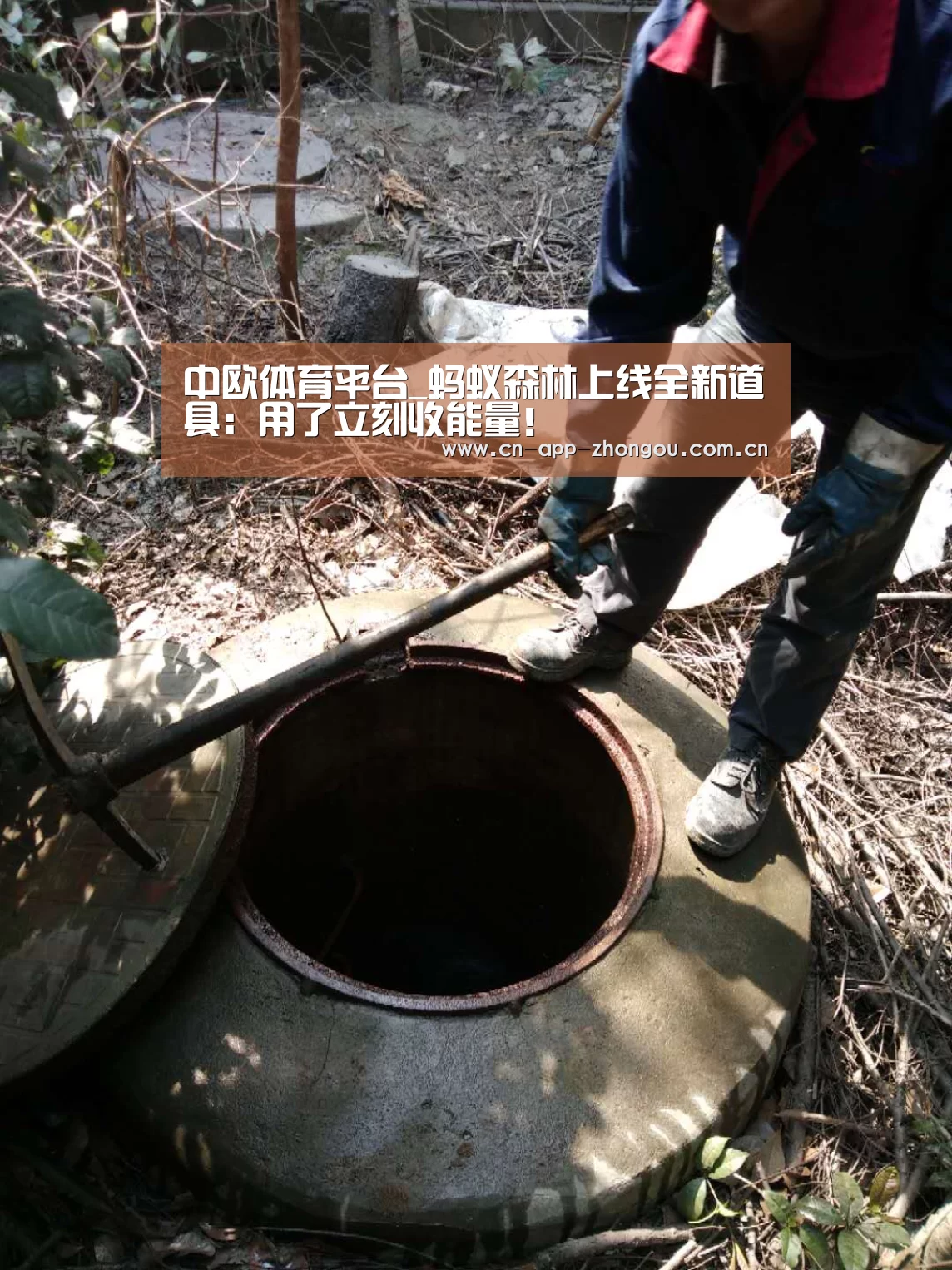 中欧体育