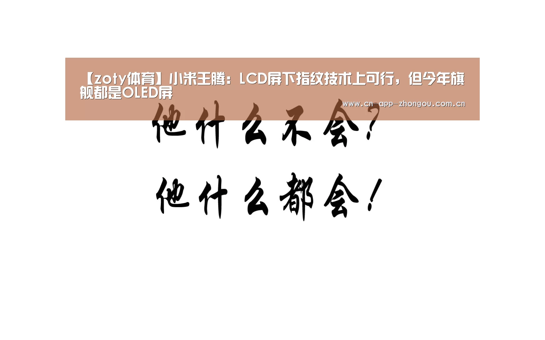 中欧体育平台