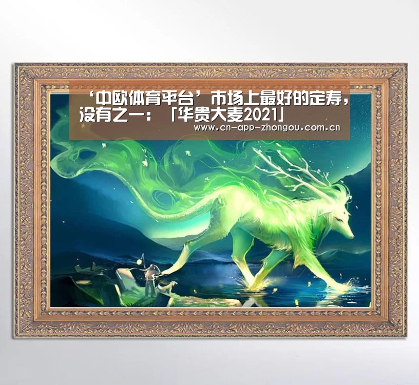 中欧体育